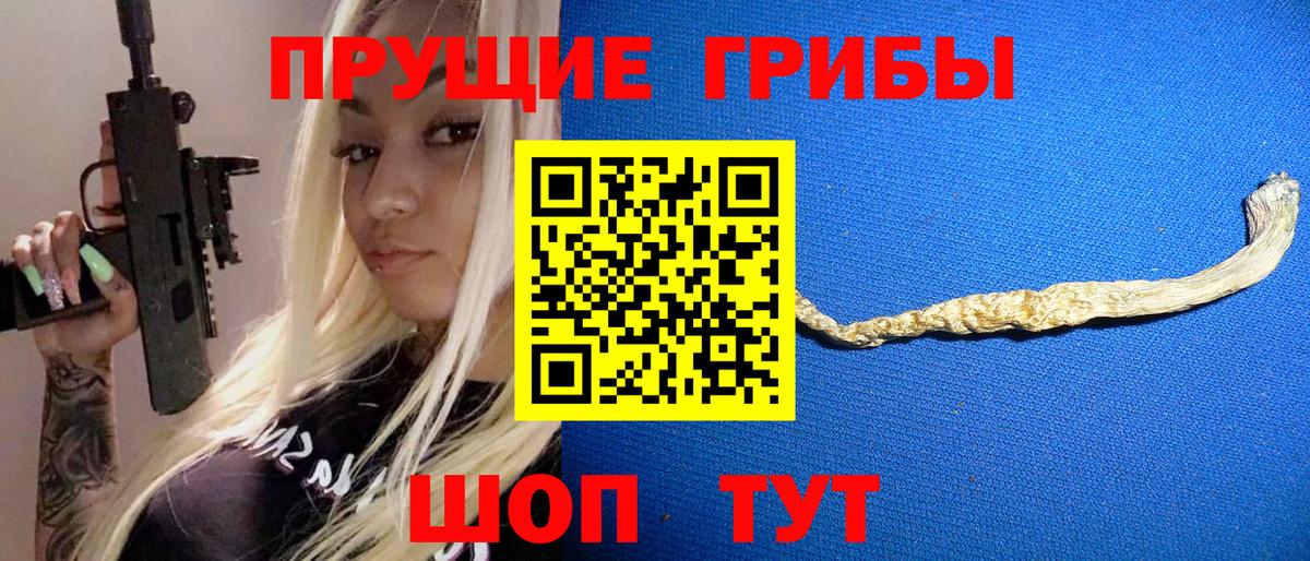 Полевской  продажа наркотиков  Вход с VPN  Галлюциногенные грибы Cubensis 