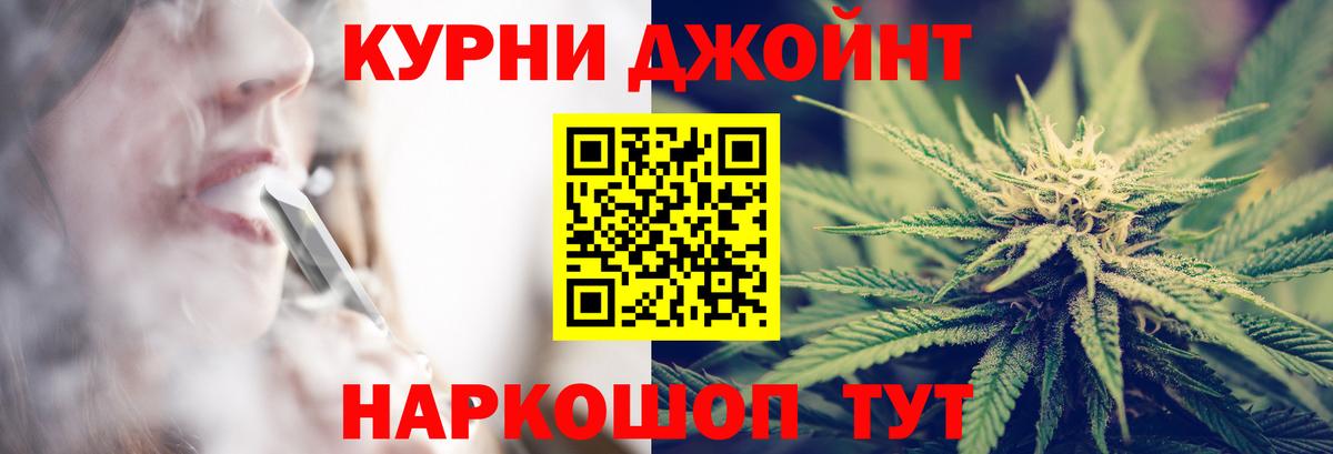 Конопля сатива Полевской